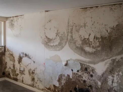 whatsapp image 2025 11 14 at 3.41.44 pm