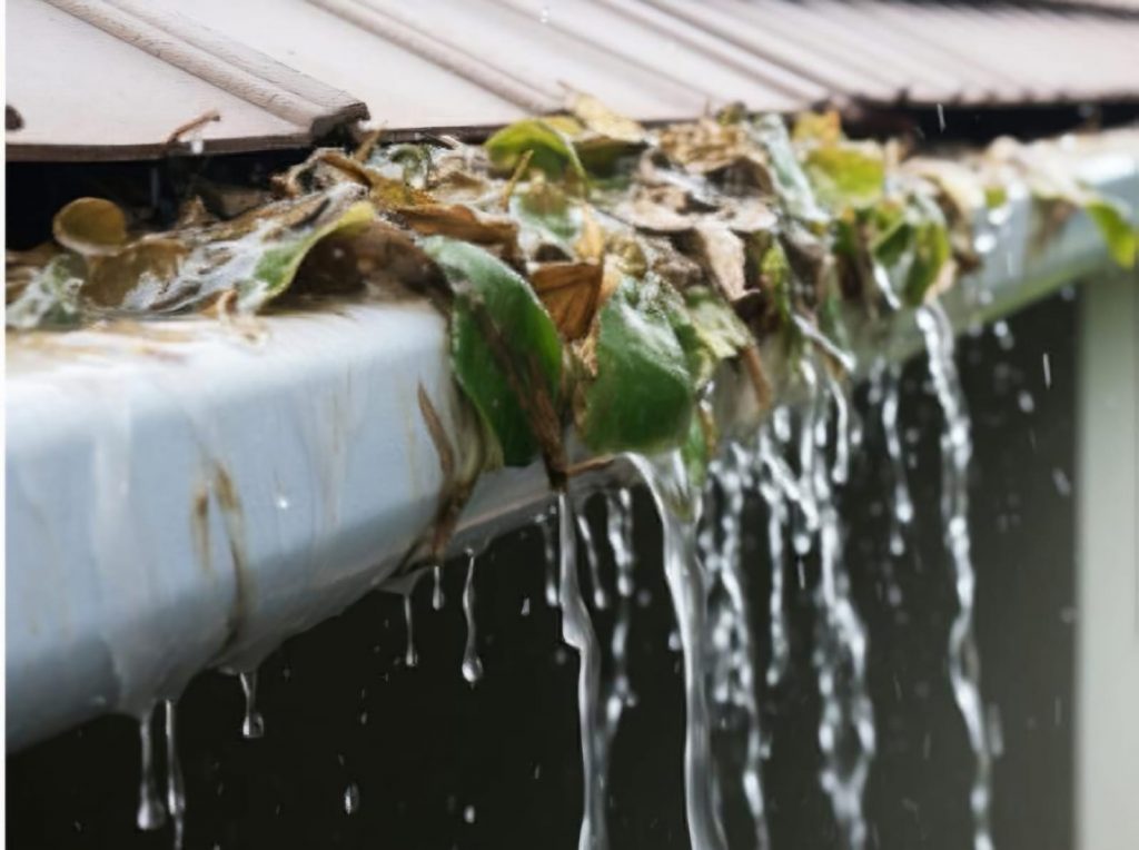 whatsapp image 2025 11 14 at 3.48.56 pm